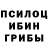 Галлюциногенные грибы Psilocybine cubensis Linh Phung