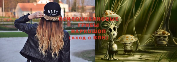 стаф Заволжск