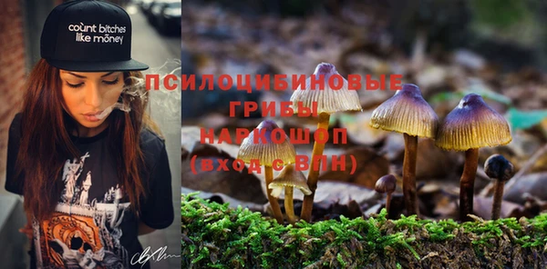 таблы Заводоуковск