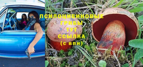 мяу мяу мука Заволжье