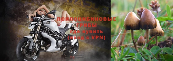 таблы Заводоуковск
