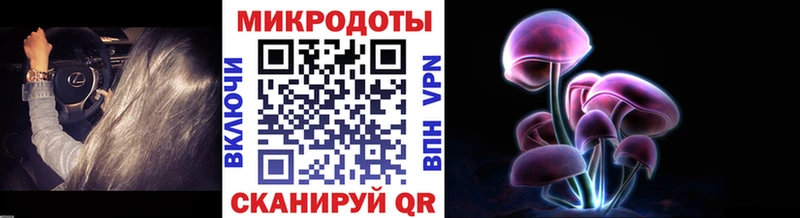 Галлюциногенные грибы прущие грибы  Купить  Видное 